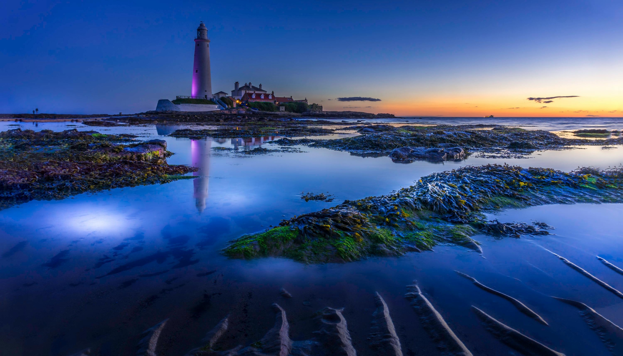 Navigating Interim Leadership Dynamics