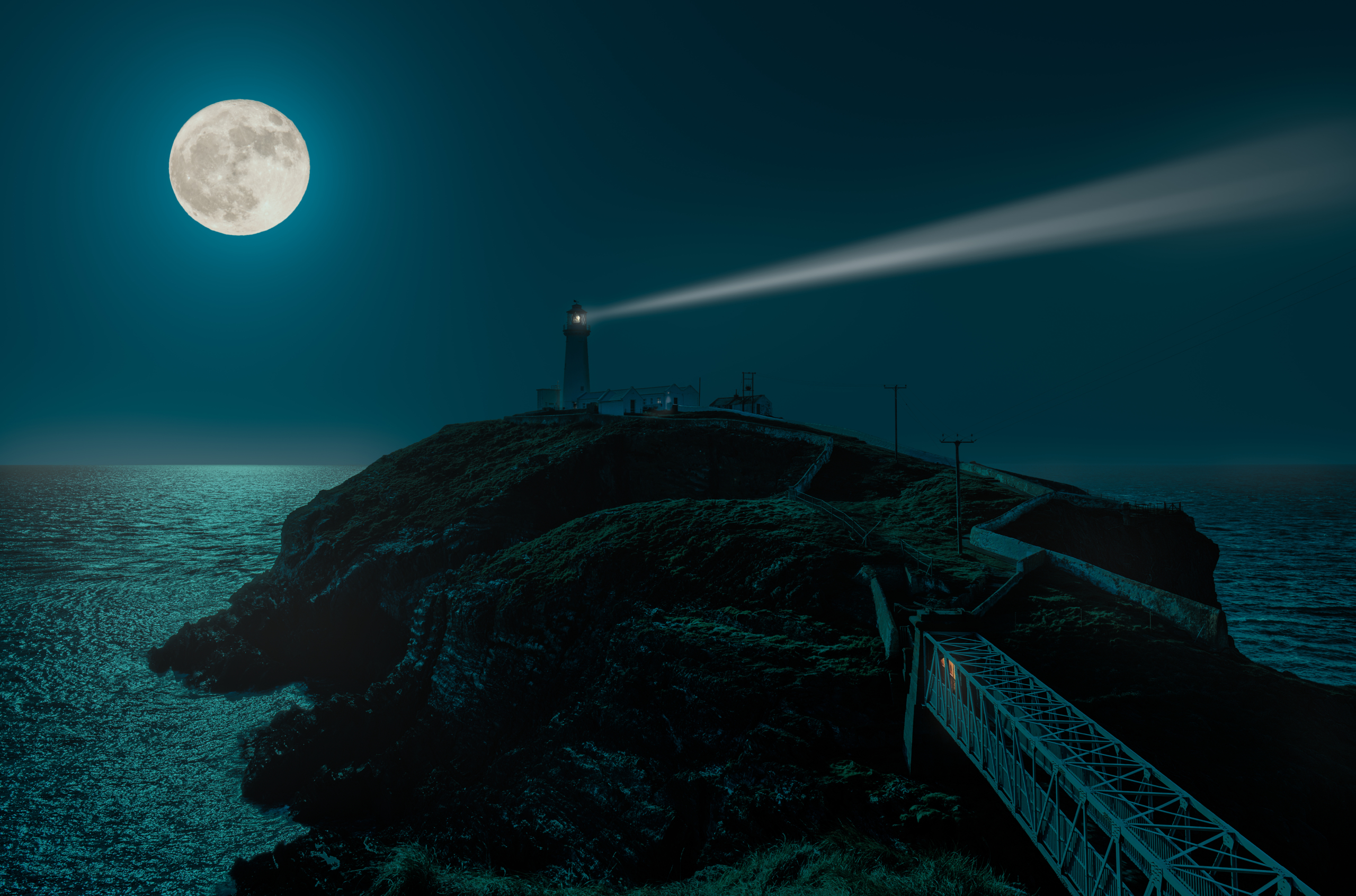 The Role of an Interim CEO in Private Equity and Venture Capital-Backed Firms