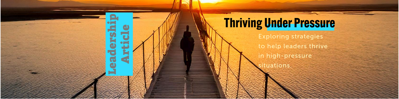 A Fellow MD Swears by Professional Facilitation for Strategy—Should You?